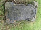 image of grave number 848549